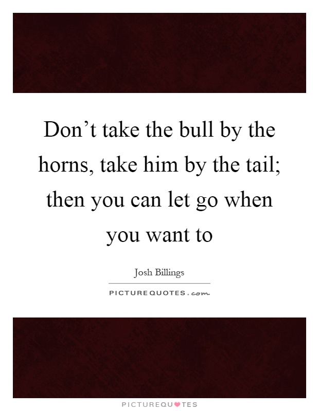 Don't take the bull by the horns, take him by the tail; then you can let go when you want to Picture Quote #1