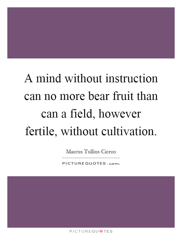 A mind without instruction can no more bear fruit than can a field, however fertile, without cultivation Picture Quote #1