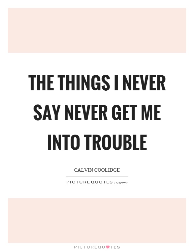 The things I never say never get me into trouble Picture Quote #1