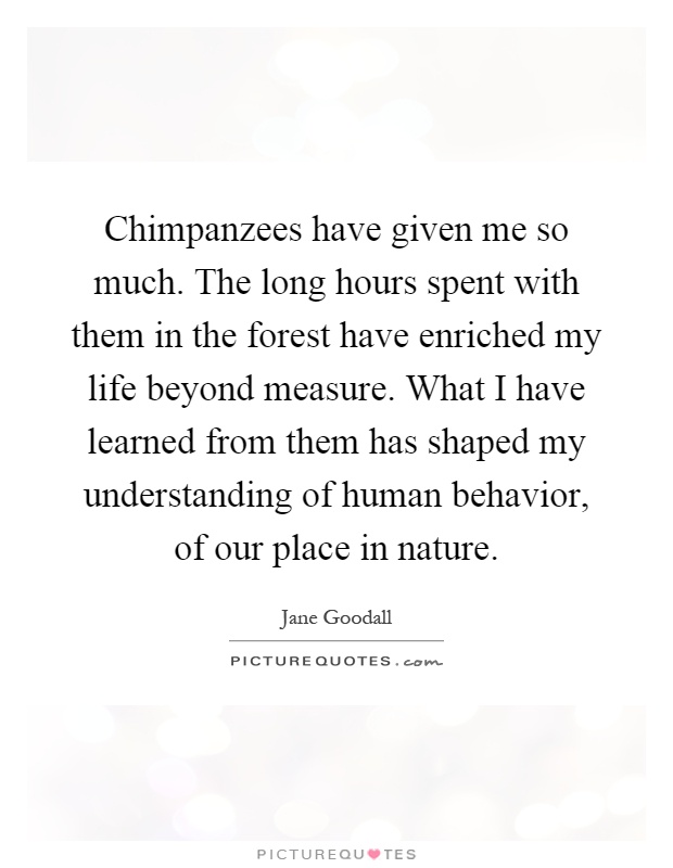 Chimpanzees have given me so much. The long hours spent with them in the forest have enriched my life beyond measure. What I have learned from them has shaped my understanding of human behavior, of our place in nature Picture Quote #1