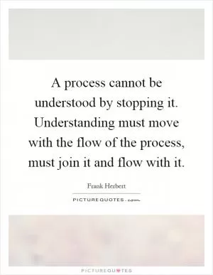 A process cannot be understood by stopping it. Understanding must move with the flow of the process, must join it and flow with it Picture Quote #1
