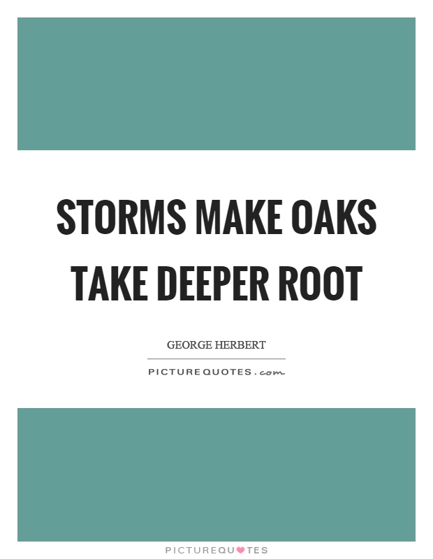 Storms make oaks take deeper root Picture Quote #1
