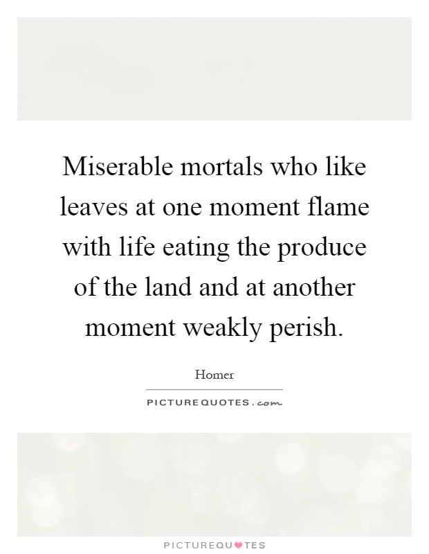 Miserable mortals who like leaves at one moment flame with life eating the produce of the land and at another moment weakly perish Picture Quote #1