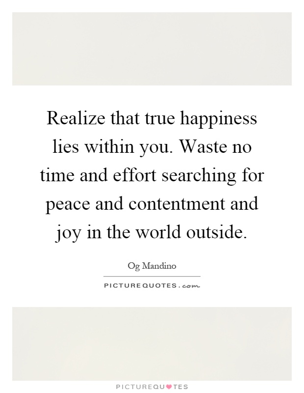 Realize that true happiness lies within you. Waste no time and effort searching for peace and contentment and joy in the world outside Picture Quote #1