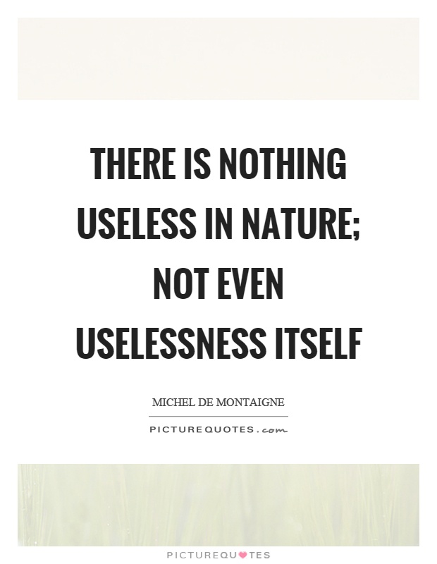There is nothing useless in nature; not even uselessness itself Picture Quote #1