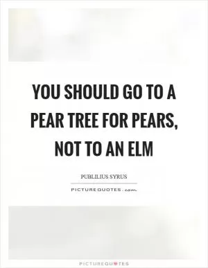 You should go to a pear tree for pears, not to an elm Picture Quote #1