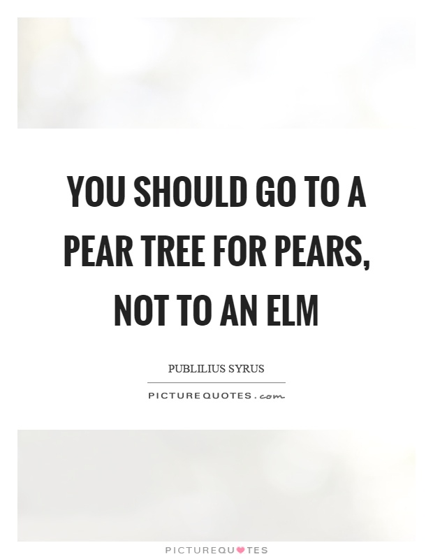 You should go to a pear tree for pears, not to an elm Picture Quote #1