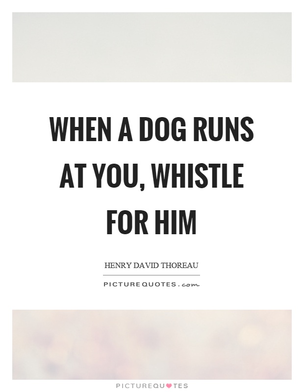When a dog runs at you, whistle for him Picture Quote #1