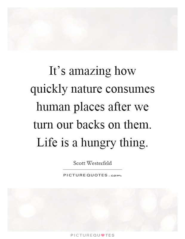 It's amazing how quickly nature consumes human places after we turn our backs on them. Life is a hungry thing Picture Quote #1