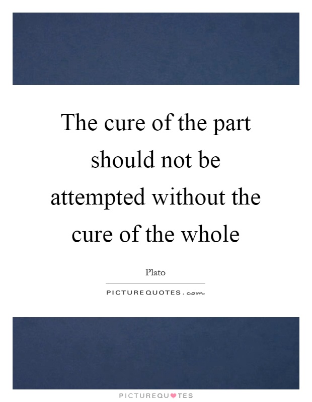 The cure of the part should not be attempted without the cure of the whole Picture Quote #1