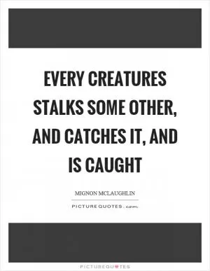 Every creatures stalks some other, and catches it, and is caught Picture Quote #1