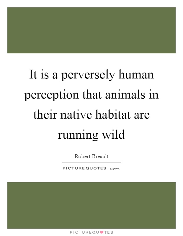 It is a perversely human perception that animals in their native habitat are running wild Picture Quote #1