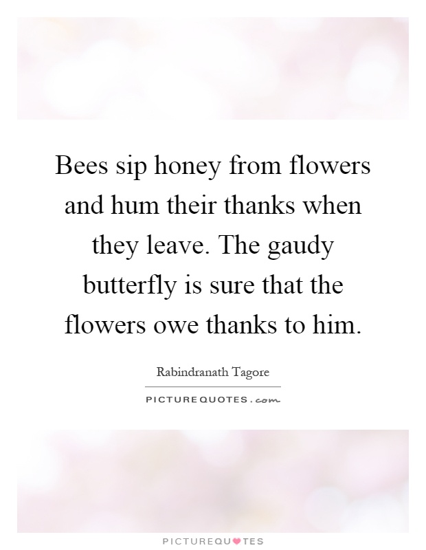 Bees sip honey from flowers and hum their thanks when they leave. The gaudy butterfly is sure that the flowers owe thanks to him Picture Quote #1