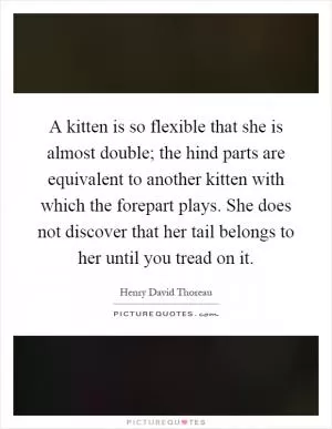 A kitten is so flexible that she is almost double; the hind parts are equivalent to another kitten with which the forepart plays. She does not discover that her tail belongs to her until you tread on it Picture Quote #1