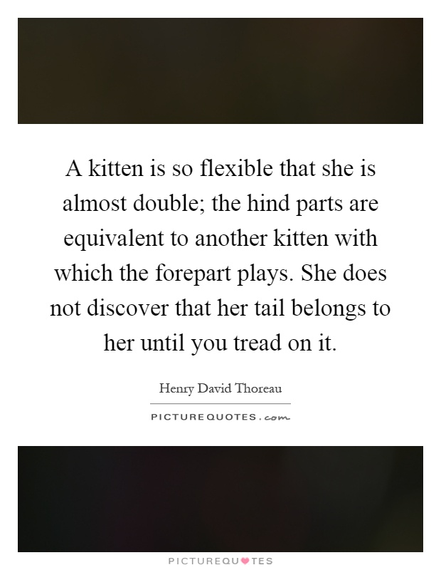 A kitten is so flexible that she is almost double; the hind parts are equivalent to another kitten with which the forepart plays. She does not discover that her tail belongs to her until you tread on it Picture Quote #1