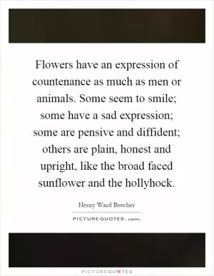 Flowers have an expression of countenance as much as men or animals. Some seem to smile; some have a sad expression; some are pensive and diffident; others are plain, honest and upright, like the broad faced sunflower and the hollyhock Picture Quote #1