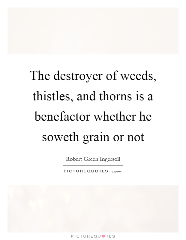 The destroyer of weeds, thistles, and thorns is a benefactor whether he soweth grain or not Picture Quote #1