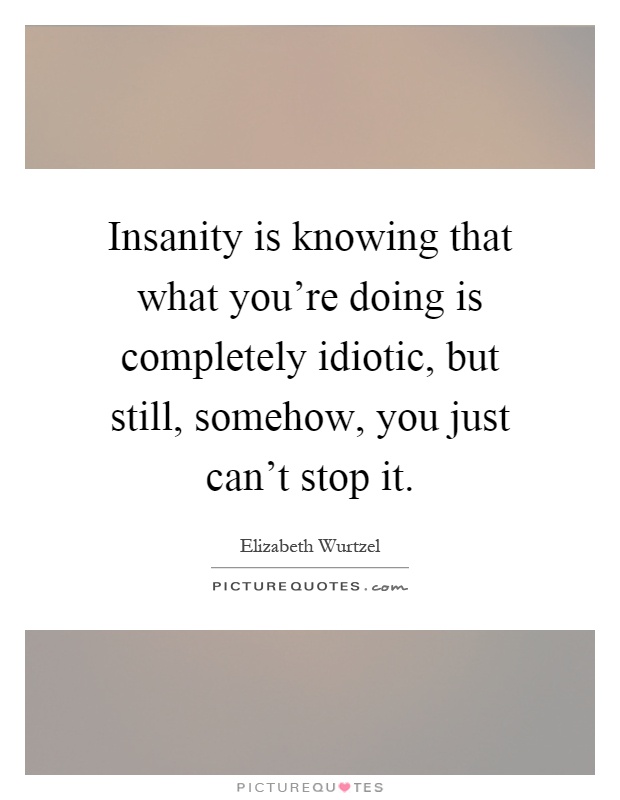 Insanity is knowing that what you're doing is completely idiotic, but still, somehow, you just can't stop it Picture Quote #1