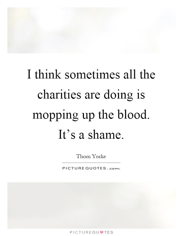 I think sometimes all the charities are doing is mopping up the blood. It's a shame Picture Quote #1