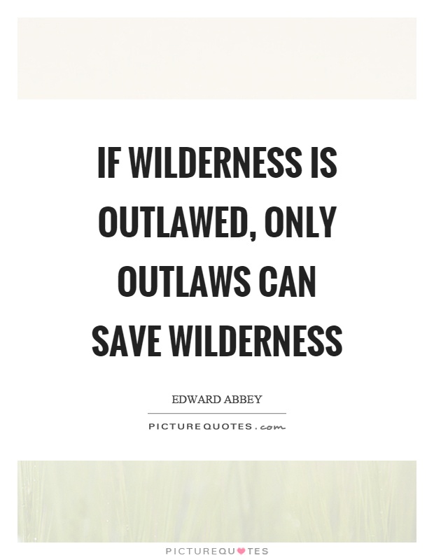If wilderness is outlawed, only outlaws can save wilderness Picture Quote #1