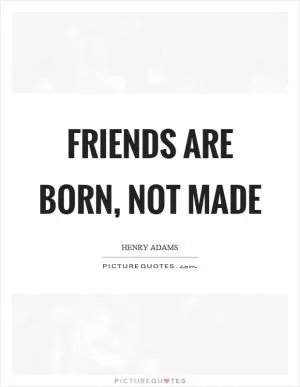Friends are born, not made Picture Quote #1