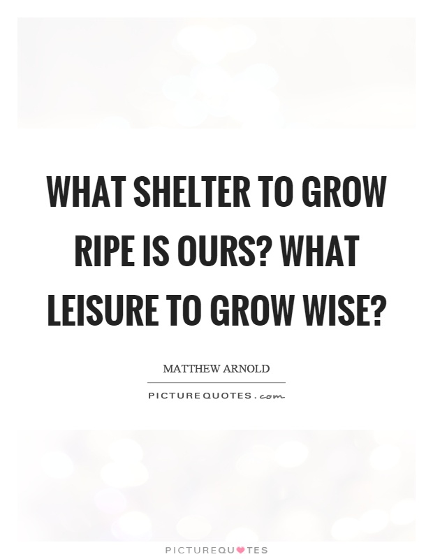 What shelter to grow ripe is ours? What leisure to grow wise? Picture Quote #1