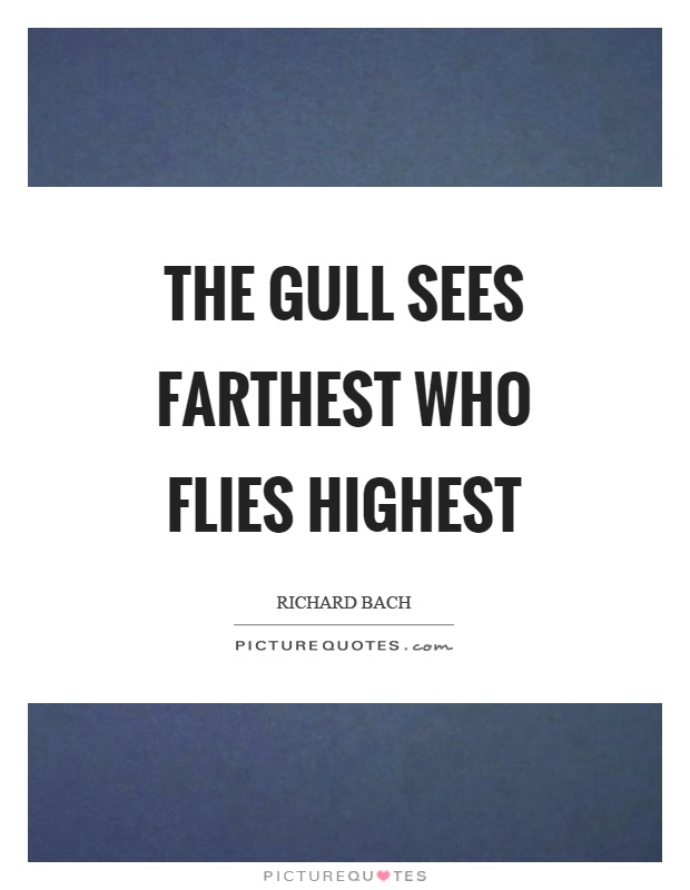 The gull sees farthest who flies highest Picture Quote #1