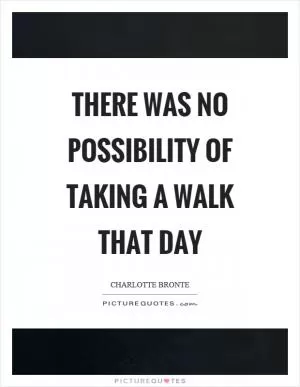 There was no possibility of taking a walk that day Picture Quote #1