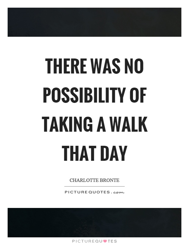 There was no possibility of taking a walk that day Picture Quote #1