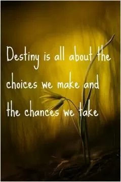 Destiny is all about the choices we make and the chances we take Picture Quote #1