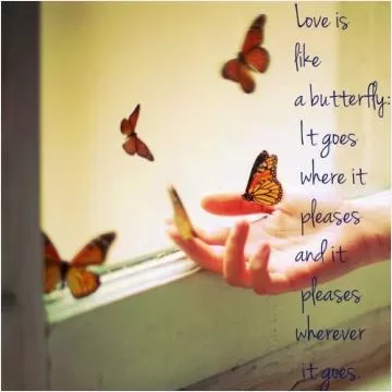 Love is like a butterfly, it goes where it pleases and it pleases wherever it goes Picture Quote #1