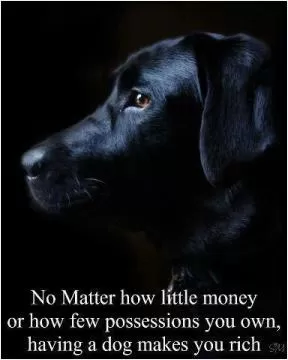 No matter how little money or how few possessions you own, having a dog makes you rich Picture Quote #1