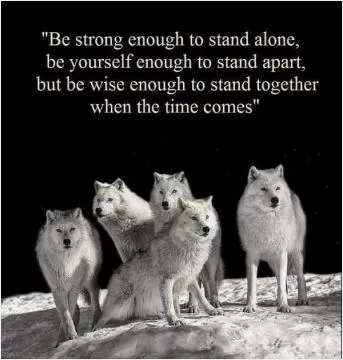 Be strong enough to stand alone, be yourself enough to stand apart, but be wise enough to stand together when the time comes Picture Quote #1