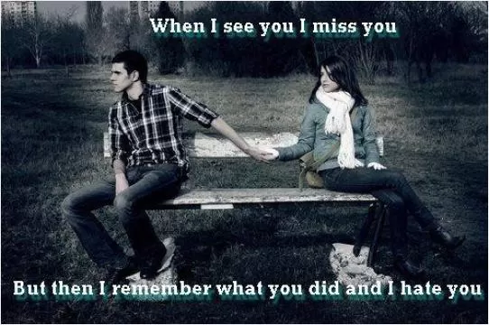 When i see you i miss you. But then i remember what you did and i hate you Picture Quote #1
