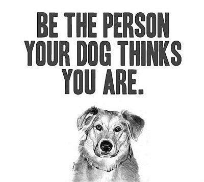 Be the person the dog thinks you are Picture Quote #1