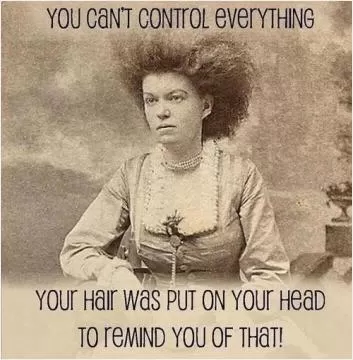 You can't control everything. Your hair was put on your head to remind you of that Picture Quote #1
