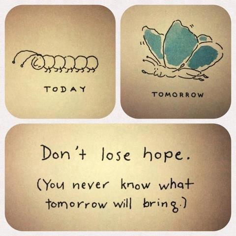Don't lose hope. You never know what tomorrow will bring Picture Quote #1