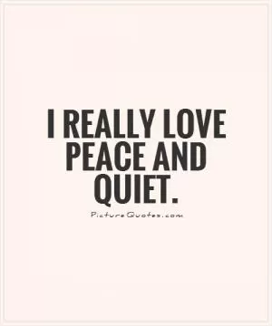 I really love peace and quiet Picture Quote #1