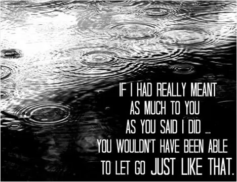 If I had really meant as much to you as you said I did you wouldn't have been able to let go just like that Picture Quote #1