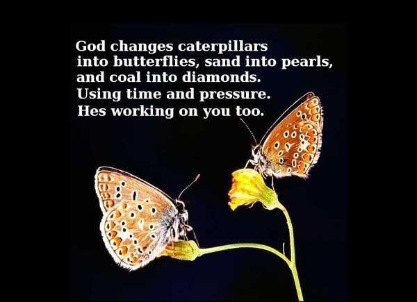 God changes caterpillars into butterflies, sand into pearls and coal into diamonds using time and pressure. He's working on you too Picture Quote #2