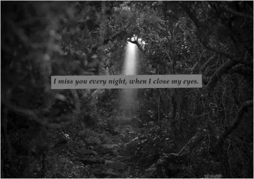 I miss you every night when I close my eyes Picture Quote #1