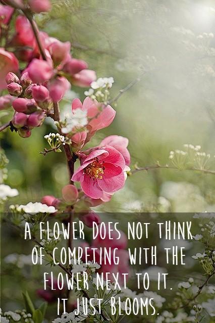A flower does not think of competing with the flower next to it. It just blooms Picture Quote #1