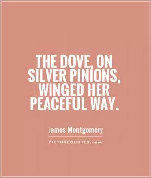 The Dove, on silver pinions, winged her peaceful way Picture Quote #1