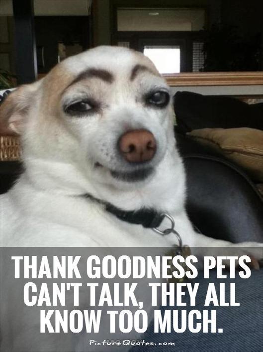 Thank goodness pets can't talk, they all know too much Picture Quote #1