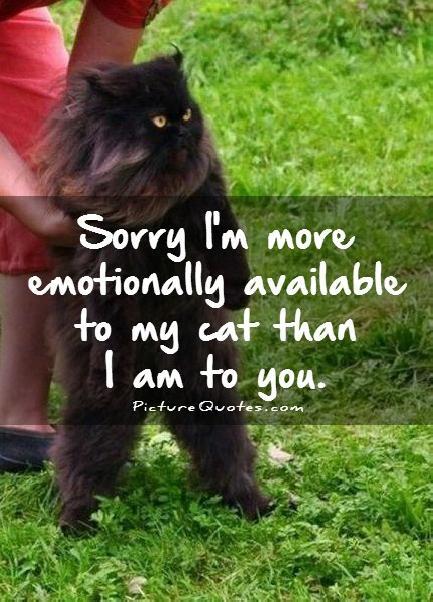 Sorry I'm more emotionally available to my cat than I am to you Picture Quote #1