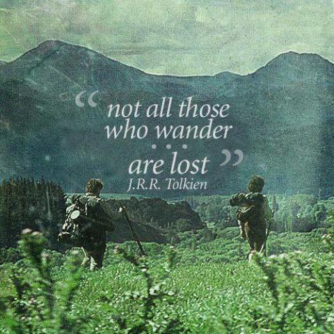 Not all those who wander are lost Picture Quote #1