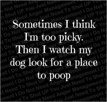 Sometimes I think i'm too picky. Then I watch my dog look for a place to poop Picture Quote #1