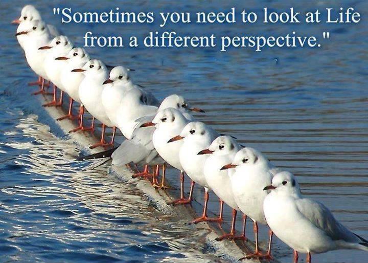 Sometimes you need to look at life from a different perspective Picture Quote #1