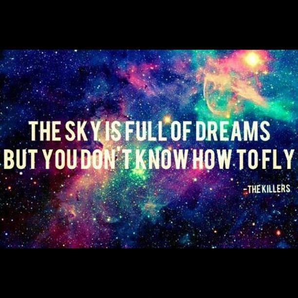 The sky is full of dreams but you don't know how to fly Picture Quote #1