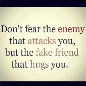 Don't fear the enemy that attacks you, but the fake friend that hugs you Picture Quote #2